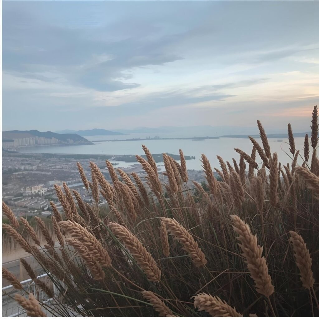 Aesthetic Captions for Selfies