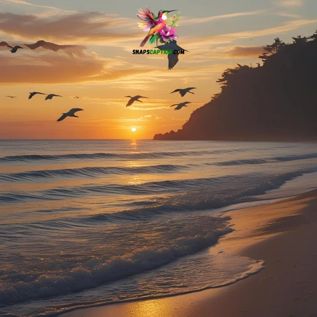 Sunset Beach Captions for Instagram