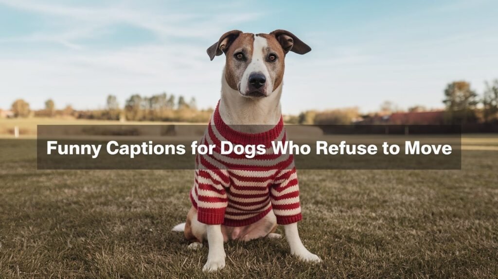 Funny Captions for Dogs Who Refuse to Move