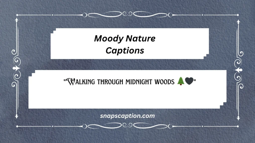 Moody Nature Captions