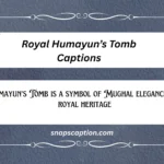 Royal Humayun’s Tomb Captions