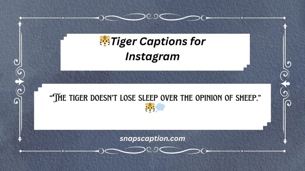 Tiger Captions for Instagram